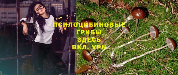 а пвп мука Осташков