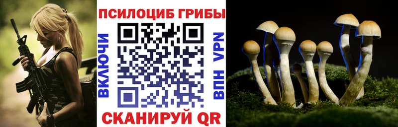 Купить где  Топки  Псилоцибиновые грибы прущие грибы 